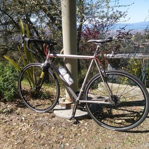 1987 Litespeed unknown Silver, gray or bare metal