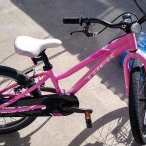 Trek 20 inch Pink