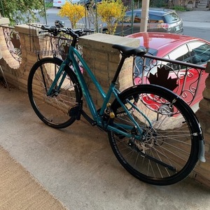 2020 Trek FX 2 Disc Women's StaggerFX 2 Disc Wo... Teal