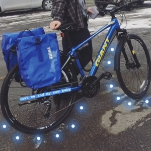 Giant Blue and Yellow or Gold