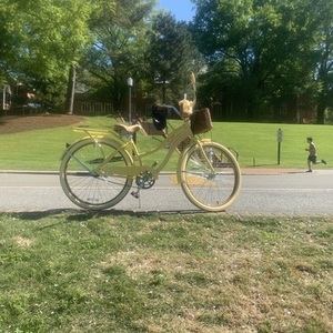 Huffy Nel Lusso Classic Cruiser Bike with P... Yellow or Gold