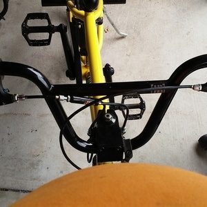 Hoffman EL1 Yellow or Gold