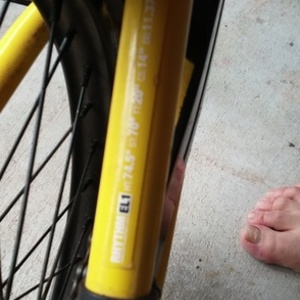 Hoffman EL1 Yellow or Gold