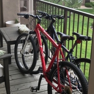 2010 Specialized Red and Black