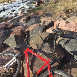 2010 Specialized Red and Black