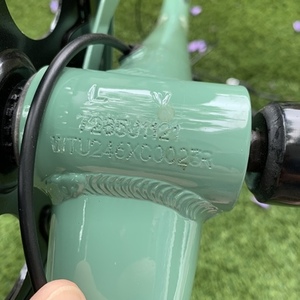 Electra Townie Green