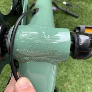 Electra Townie Green