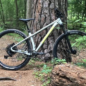 2021 Santa Cruz Chameleon D 29 Silver, gray or bare metal