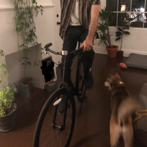 Critical Cycles Black