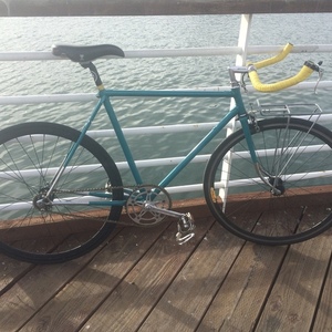 Nishiki Teal
