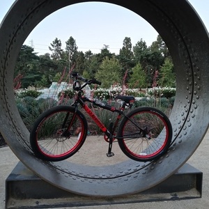 2020 SE Bikes Big ripper dub edition Black and Red