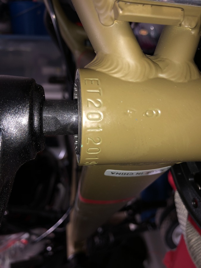 2021 REI Co-Op REV DRT 24