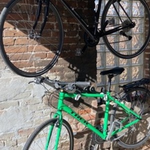 2017 Trek FX2 WSD Green