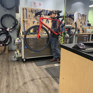 2020 Specialized SIRRUS WMN RKTRED/PLMPRP M Red