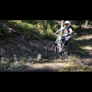 2013 Devinci Wilson White