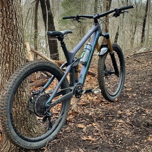 2020 Trek Remedy 9.9 Green