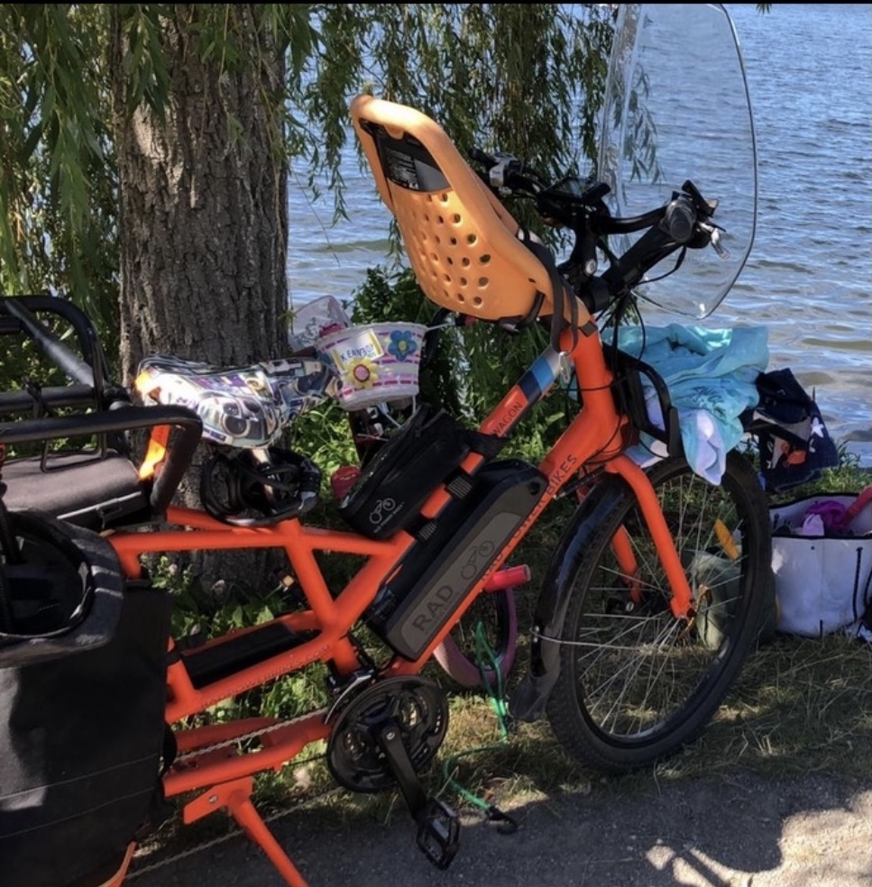 Stolen 2018 Rad Power Bikes RAD WAGON Cargo Bike