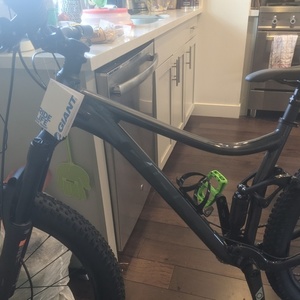 2021 Giant Stance Black