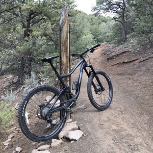2019 Giant Trance 2 Black