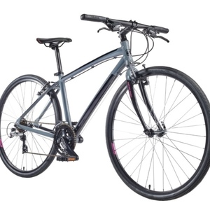 2018 Nishiki Women’s 15” aluminum Silver, gray or bare metal and Pink