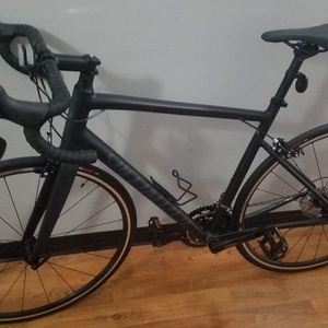 2019 Specialized Allex Black