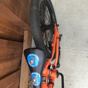 Norco Bikes Boys Orange