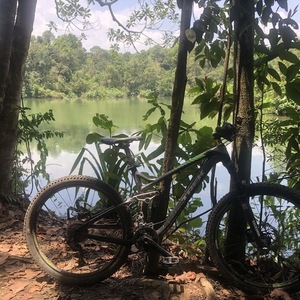 2015 Trek Remedy 7 Silver, gray or bare metal and Green
