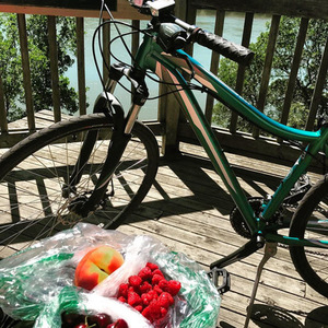2010 Specialized Myka Sport Teal
