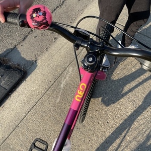 2021 Garneau Neo 247 Pink and Purple