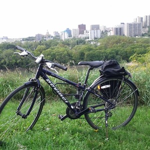 Devinci Hybrid Blue