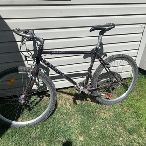 Raleigh Serengeti Purple