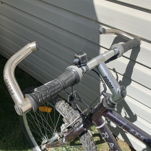 Raleigh Serengeti Purple