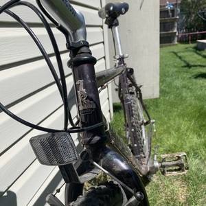 Raleigh Serengeti Purple