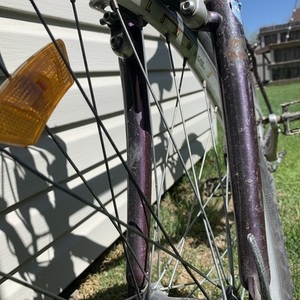 Raleigh Serengeti Purple