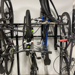 2014 Cannondale Trail Sl 29 Ss Black and Green