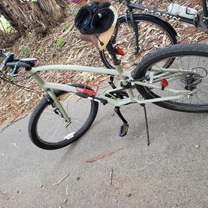 Electra Townie 7D Green