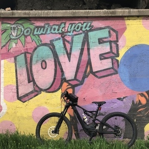 2018 Specialized BT 18 Levo FSR Men 6Fattie Black/Cham... Purple