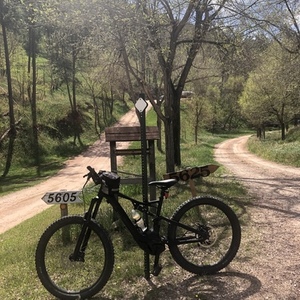 2018 Specialized BT 18 Levo FSR Men 6Fattie Black/Cham... Purple