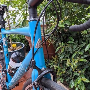 2017 Marin Bikes Treviso Blue