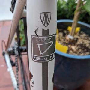 2011 Trek Lexa SLX White