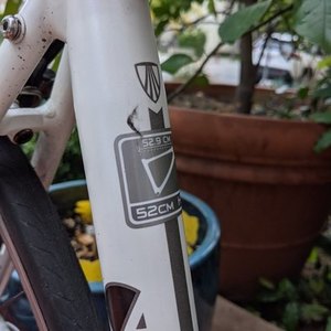2011 Trek Lexa SLX White