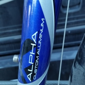 2009 Trek Blue