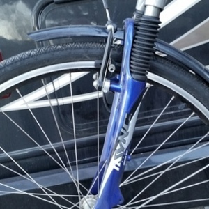 2009 Trek Blue