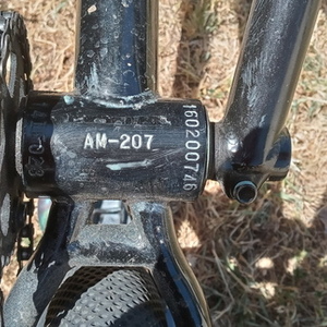 2020 Sunday Sunday Black