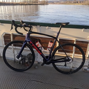 2021 Trek Domane Purple, Black, and Red