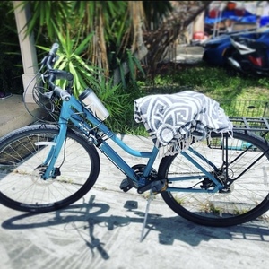 2020 Trek Verve 2 Teal