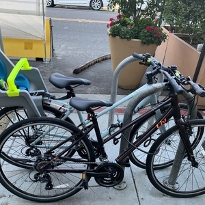 2021 Giant A Light 3 Small Purple