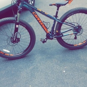 2018 Cannondale Cujo Blue
