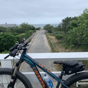2018 Cannondale Cujo Blue