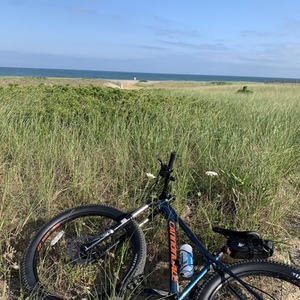 2018 Cannondale Cujo Blue